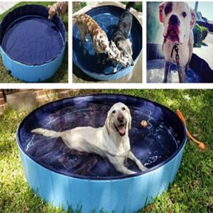 piscine pliable et douche de bain pour chien et chat